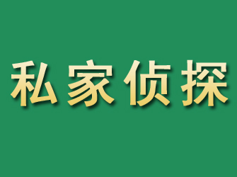 阳山市私家正规侦探